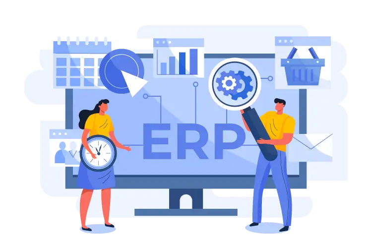 2S ERP Software Individualsoftware